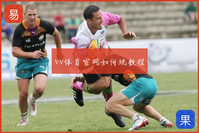 vv体育官网如何玩教程
